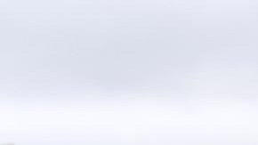 Simpatizantes del movimiento “Manos Fuera”