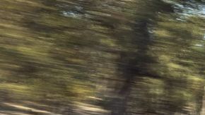 Referencia de la Ford Ranger Super Duty 2025