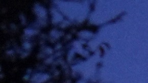 Solar lights remain on outside a home destroyed by the Eaton Fire, Tuesday, Jan. 14, 2025, in Altadena, Calif. (AP Photo/Jae C. Hong)