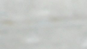 La cancelación de visas F-1 a estudiantes extranjeros interrumpe sus estudios y los amenaza con deportaciones.