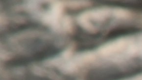 ¿Por qué la moneda de $1 dólar de Sacagawea de 2000 es tan especial?