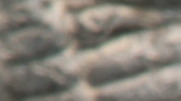 ¿Por qué la moneda de $1 dólar de Sacagawea de 2000 es tan especial?