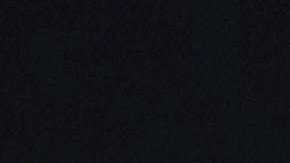 Salma Hayek migrantes