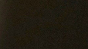 La defensa de Sean Diddy Combs: “Vivía un estilo de vida swinger, no cometió delitos”