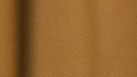 El representante republicano Thomas Massie quiere cambiar cómo se maneja la doble ciudadanía en el Congreso.