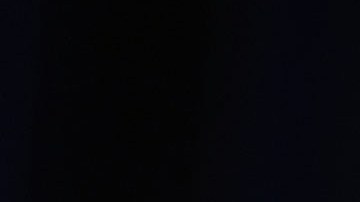 Timothy James Walz, gobernador de Minnesota