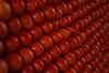 Tomate cultivado en México