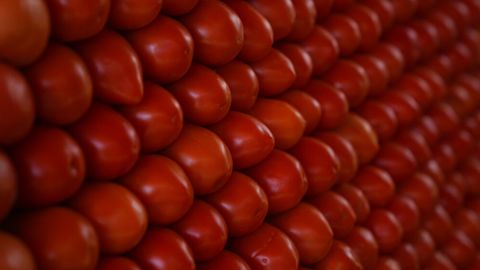 Tomate cultivado en México