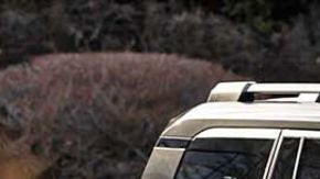 Toyota Land Cruiser, por Tom’s Racing