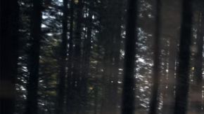 Toyota lanza la 4Runner 2025 con concurso único