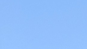 Los Angeles County workers picket outside of the Los Angeles General Medical Center after walking off the job Monday, April 28, 2025, in Los Angeles. (AP Photo/Jaimie Ding)