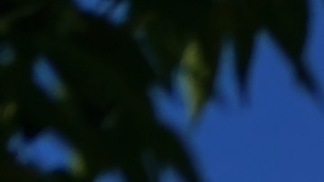 Trader Joe's anunció que abrirá 21 tiendas más: estas son las ubicaciones