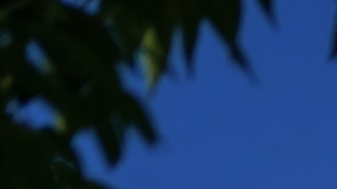 Trader Joe's anunció que abrirá 21 tiendas más: estas son las ubicaciones