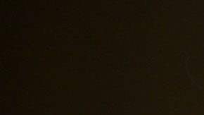 Tulsi Gabbard, directora de Inteligencia Nacional