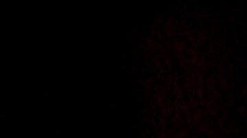 A single candle lights up the night during a candlelight vigil in Oak Hill, W.Va., on April 7, 2010. (AP Photo/Jon C. Hancock)