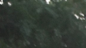 La agresión contra el político ocurrió previo al comienzo de su campaña en la comunidad del Arenal