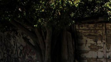 Violencia en Tijuana