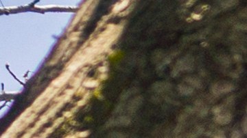 Walmart ofrece un juego de patio de 3 piezas con descuento de más del 50%