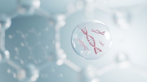 Los científicos llegaron a una conclusión sorprendente: todo el ADN mitocondrial actual proviene de una sola mujer.