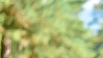 El agente William May sirvió en la Oficina del Sheriff del Condado de Walton desde 2014