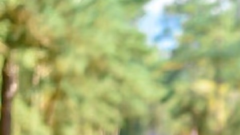 El agente William May sirvió en la Oficina del Sheriff del Condado de Walton desde 2014