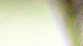 Los billetes antiguos suelen conservar detalles únicos y raros que aumentan el valor del ejemplar, a medida que pasan los años.