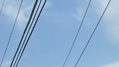 La policía señaló que el apuñalamiento se produjo antes de que los estudiantes llegaran a la escuela.