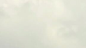 La avioneta se estrelló poco después de las 10:00 am y las carreteras estaban cerradas cerca de la Interestatal 95.