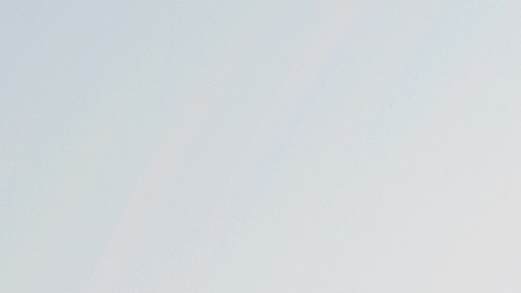 El trágico suceso se registró el domingo por la mañana en el Área de Vida Silvestre Fremont Weir