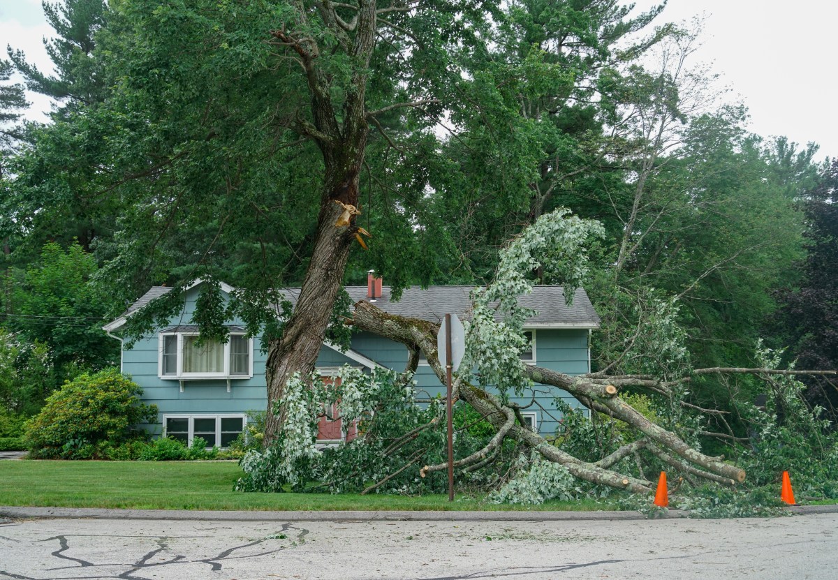 Four Dead in Pennsylvania Due to Extreme Weather - News Directory 3