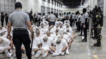 Guardias de CECOT vigilan a los inmigrantes deportados por EE.UU. a El Salvador.
