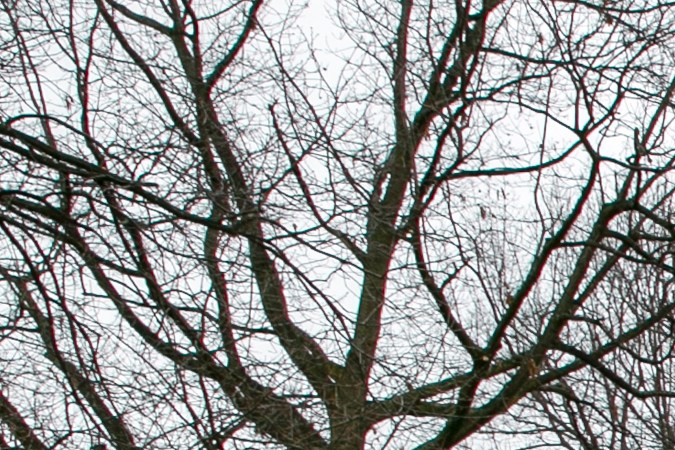 El gobierno de Trump ha suspendido las visas F-1 a cientos de estudiantes universitarios extranjeros, según una demanda de ACLU.