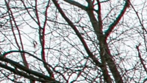 El gobierno de Trump ha suspendido las visas F-1 a cientos de estudiantes universitarios extranjeros, según una demanda de ACLU.