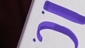 La eliminación de los registros de estudiantes extranjeros dio lugar a numerosas demandas.