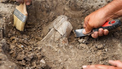 El descubrimiento plantea más preguntas que respuestas y añade una pieza vital al rompecabezas del pasado inglés.