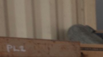 El uso del soplete para cortar metal es una de las cosas que estas mujeres han aprendido durante su tiempo en la construcción.