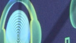 Guillermo del Bosque