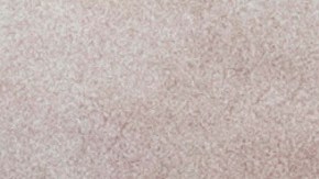 Contexto reduce la probabilidad de que las personas indocumentadas presenten sus impuestos.