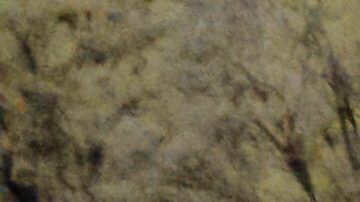 Vista aérea de edificios y vehículos inundados el sábado 5 de abril de 2025, en Frankfort, Kentucky.