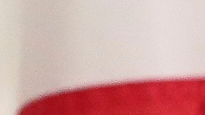 El senador de Florida Jason Pizzo anunció que no continuará en el Partido Demócrata.