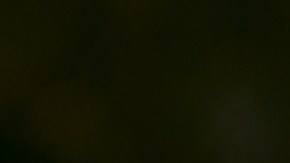 La lechuza ha sido objeto de interpretaciones espirituales positivas y negativas.