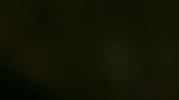 La lechuza ha sido objeto de interpretaciones espirituales positivas y negativas.