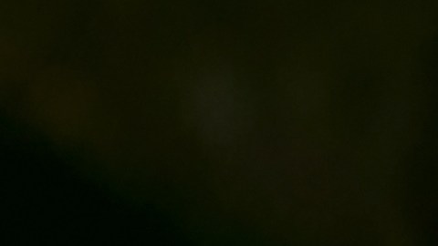 La lechuza ha sido objeto de interpretaciones espirituales positivas y negativas.
