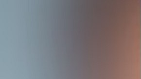 Gerhardt Konig, acusado de atacar brutalmente a su esposa en un sendero de Hawaii, compareció por videoconferencia y negó los cargos.