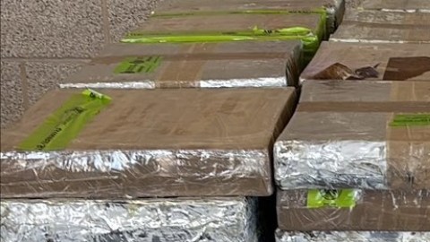 Droga oculta en verduras