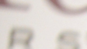 Michelle Trachtenberg