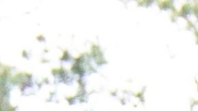 El pastor Edwards se encuentra en cuidados intensivos, pero se encuentra estable, responde y puede mover todas sus extremidades