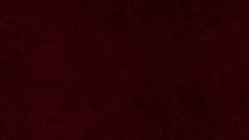 Horas más tarde de su fallecimiento, se conoció el diagnóstico: un ictus cerebral lo llevó al coma y, finalmente, a un fallo cardiocirculatorio irreversible.