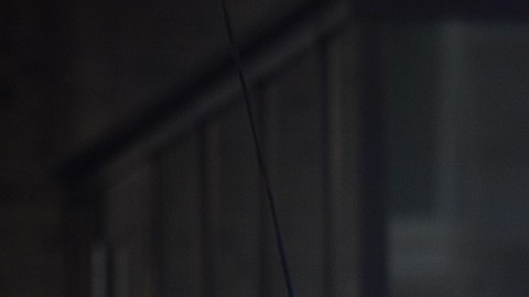 Violencia en Jalisco