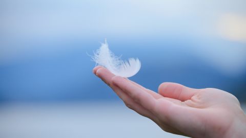 Las plumas tienen un mensaje espiritual.